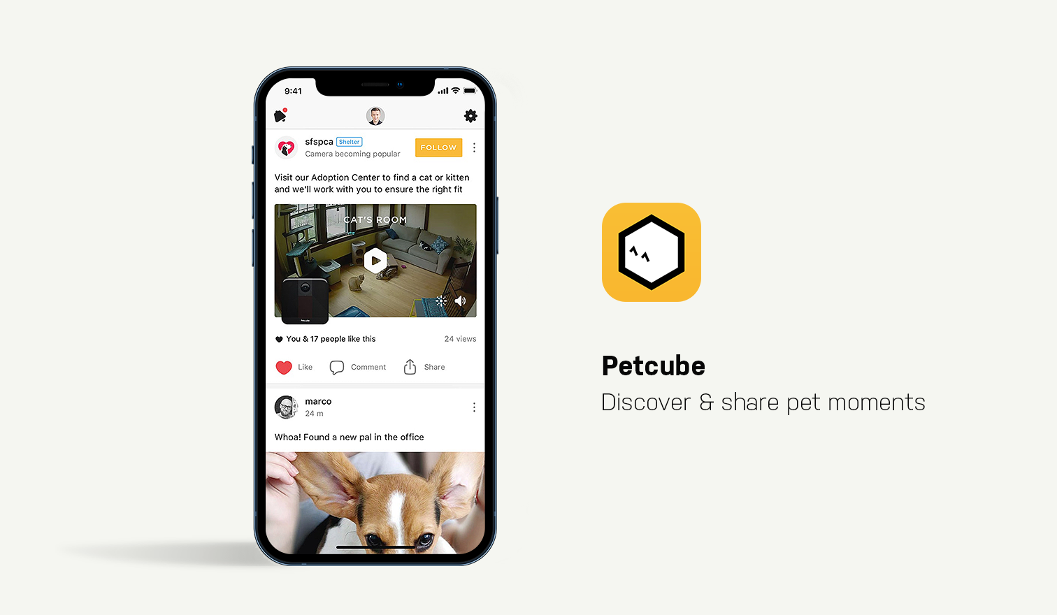 petcub app