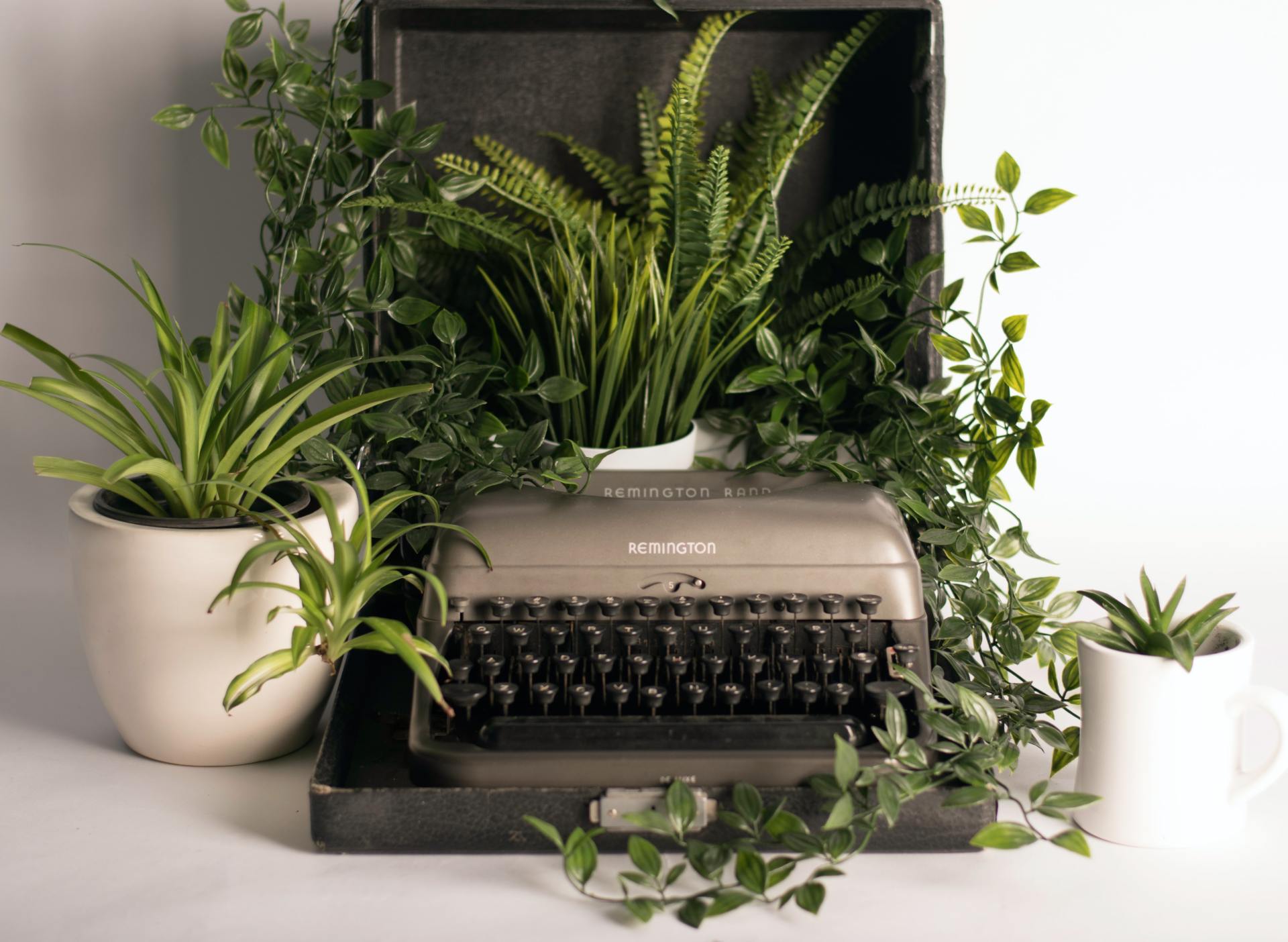house plants around typewritter